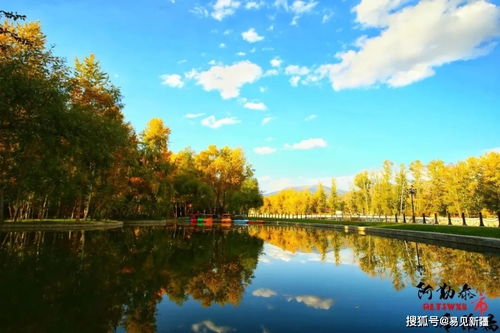 新疆又有12家国家4A级旅游景区,快来看看都在哪儿
